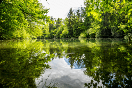 Nutrient-impacted public waterway