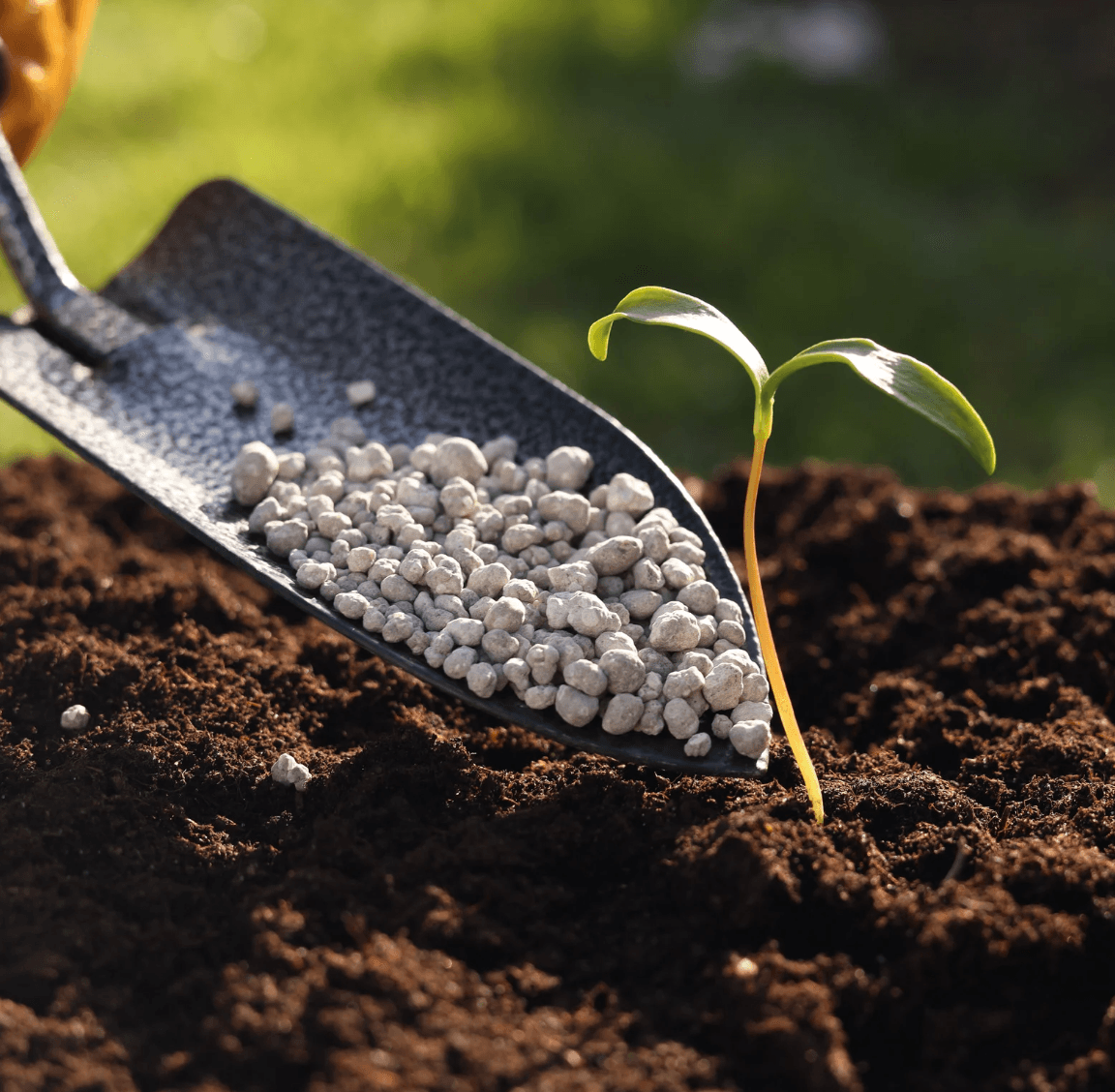 Fertiliser granules with seedling