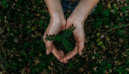 woman planting