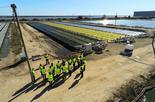 Algatec Eco Business - Lisbon