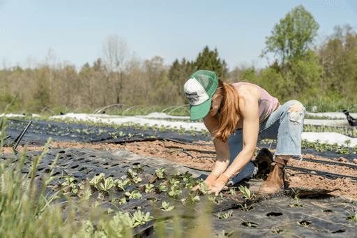 Long-term carbon storage via biochar